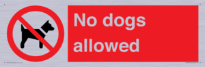 No dogs allowed
